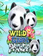 เกม ไฮโล ไทย ทดลองเล่น สนุก ลุ้นได้ทุกวัน